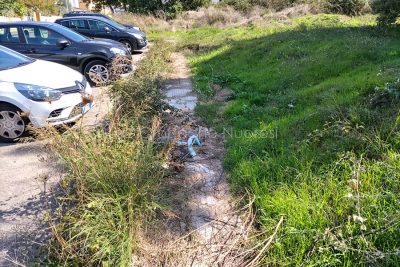 Rovi in via Apuleio a Nuoro