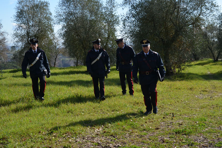 Rottweiller ferito al muso con una motosega: indagano i Carabinieri