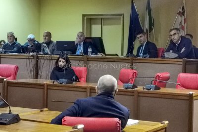 Il Consiglio Comunale di ieri (foto S.Novellu)