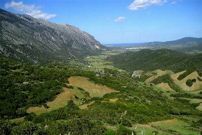 Valle Rio Locoli da dispensa Guletti