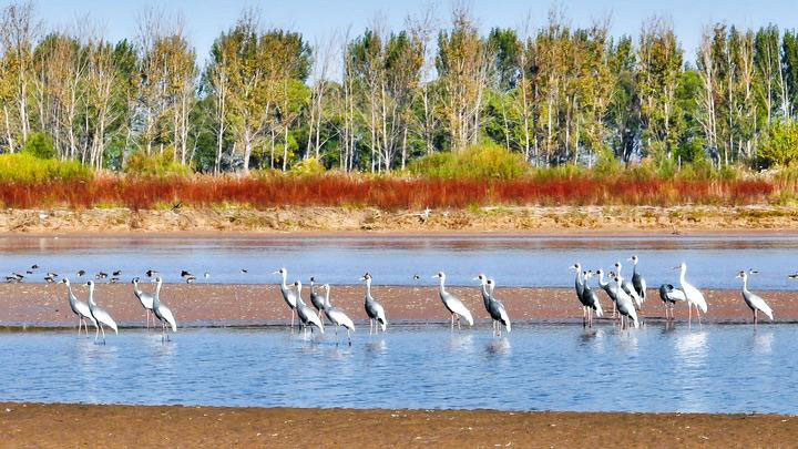 Cina: adottata legge sulla conservazione del Fiume Giallo