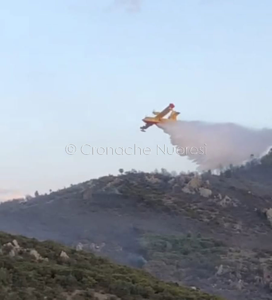 Pauroso incendio nel cantiere forestale di Orgosolo: in fumo 11 ettari di macchia mediterranea