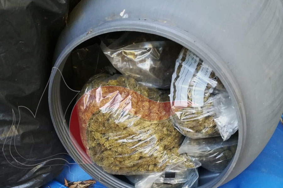 Talana: scoperto deposito di marijuana per un milione di euro