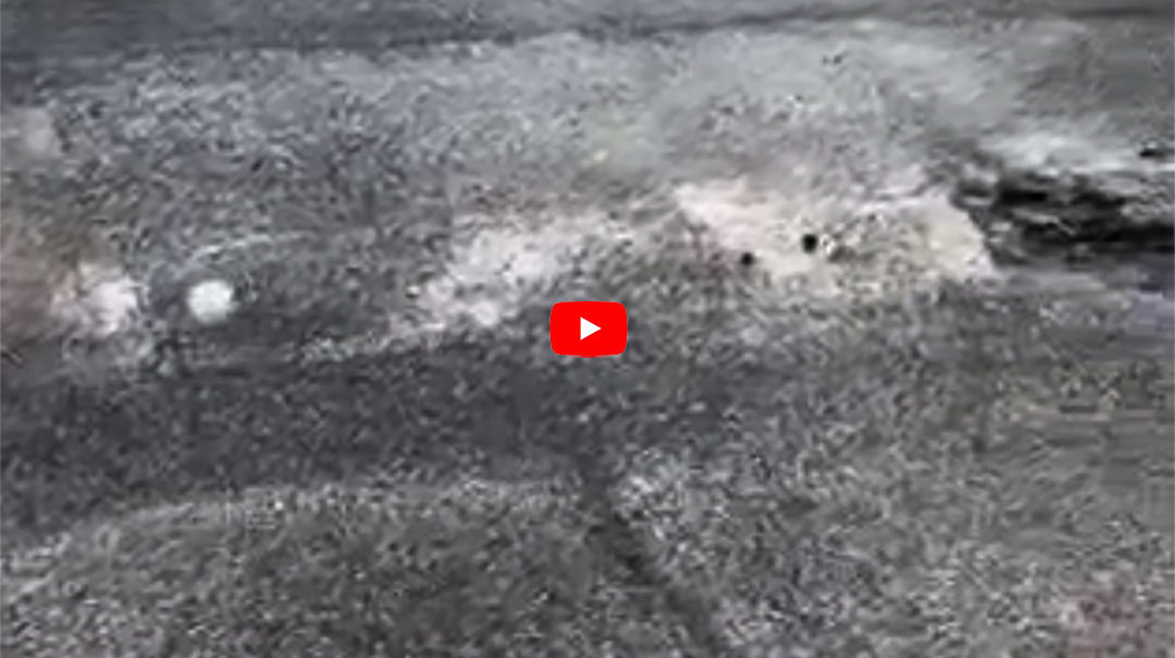 Orotelli.  Ennesima perdita d’acqua dalla condotta appena riparata – VIDEO
