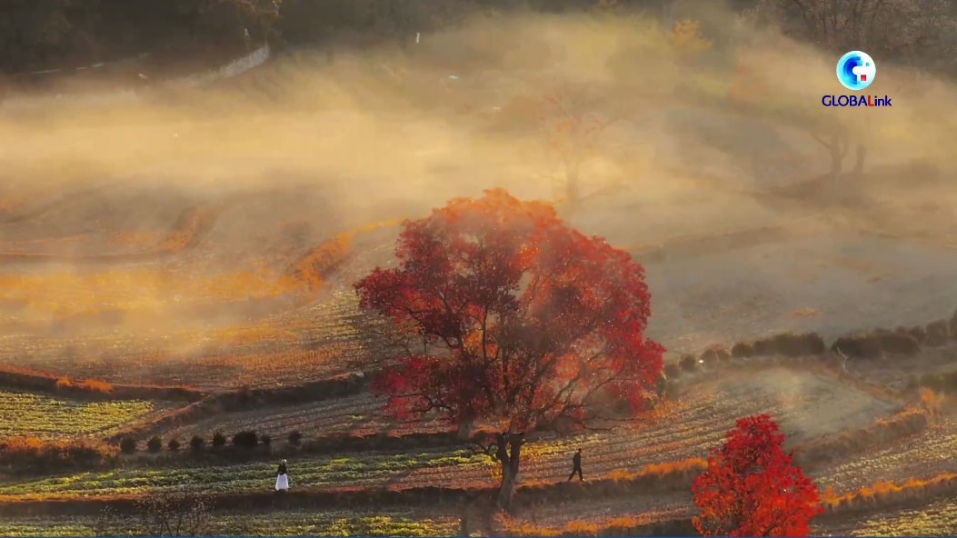Un “paradiso per i fotografi” nell’Anhui cinese – VIDEO
