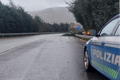 L'albero spezzato dal vento sulla SS 389