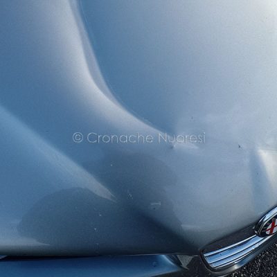 L'auto danneggiata dalla mucca