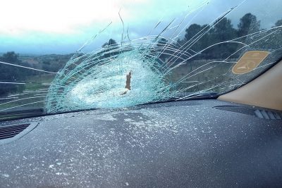 L'auto danneggiata dalla mucca