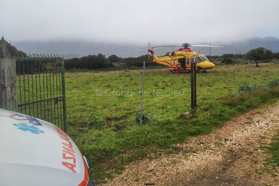 Onifai. 66enne ferita gravemente dalla lama di una motosega ricoverata d’urgenza al maxillo-facciale di Sassari