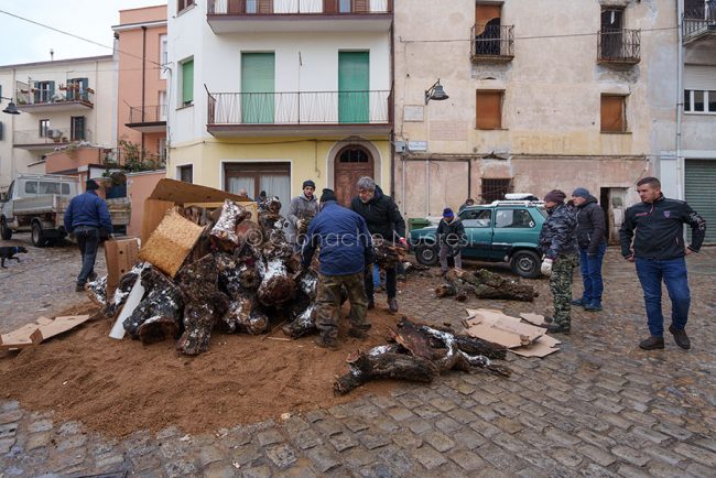 Santu Predu, preparazione del fuoco per S.Antonio (foto S.Novellu)