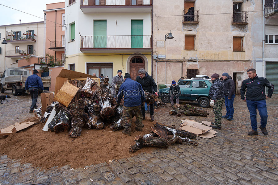 Santu Predu, preparazione del fuoco per S.Antonio (foto S.Novellu)