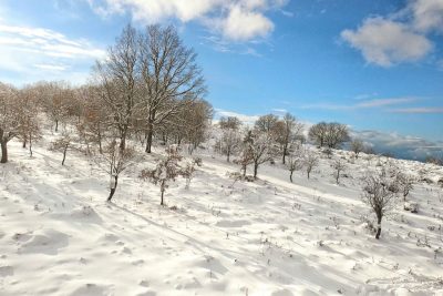 Neve nel Nuorese (foto Christian Mele - @cristian8)