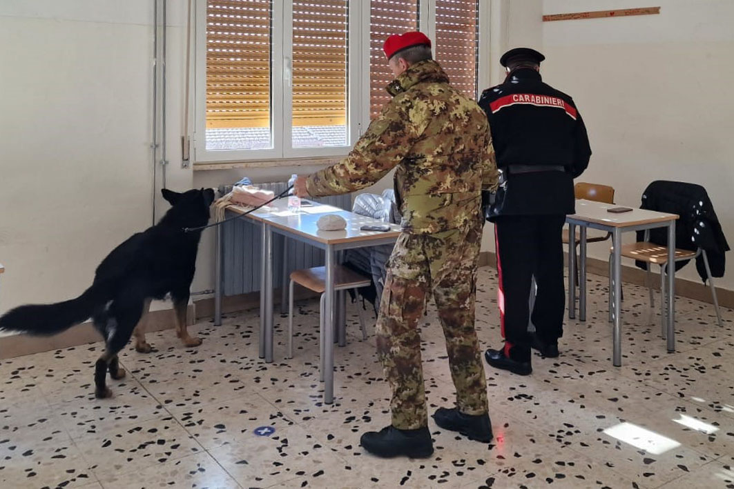 Blitz antidroga nelle scuole di Macomer: due studenti nei guai e 30 grammi di marijuana sequestrati
