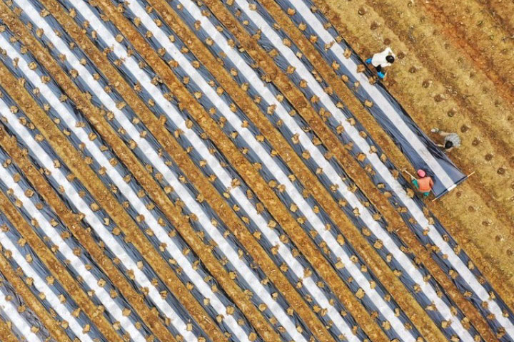 Yushui: una buona pioggia conosce la stagione