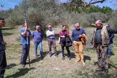 A lezione di potatura a San Pietro di Sorres con Coldiretti