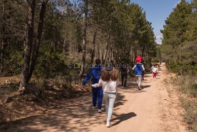 Bitti. Forestas Apertas al Parco di Tepilora (foto S.Novellu)