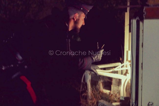 Blitz antidroga tra Baronia, Olbia e Tempio