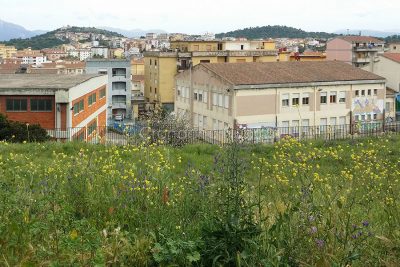La scuola di Biscollai (foto S.Novellu)