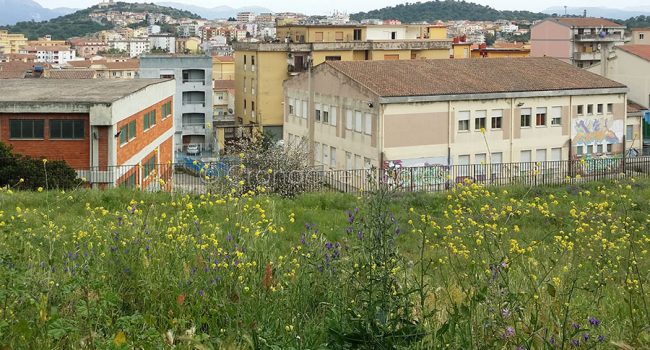 La scuola di Biscollai (foto S.Novellu)