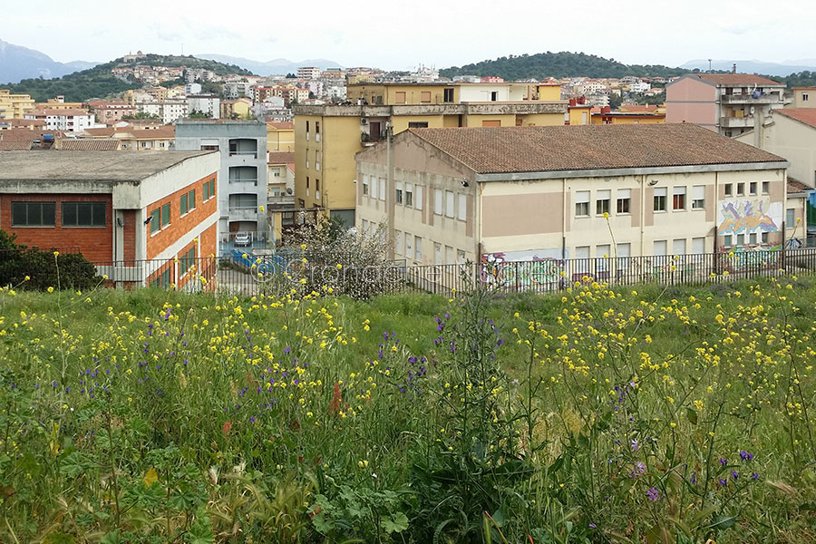 Il tempo scolastico prolungato? A Nuoro è un lusso per pochi. E i genitori lavoratori costretti ad arrangiarsi