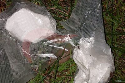 Una parte della cocaina sequestrata