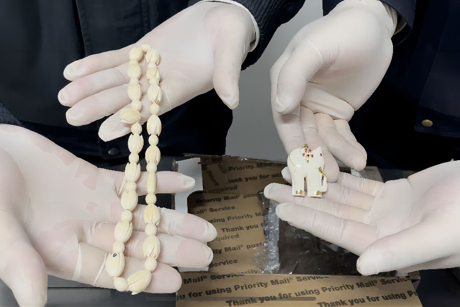 Cina: Changsha, prodotti di avorio sequestrati da funzionari di dogana