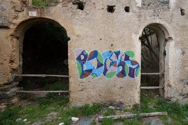 Graffiti a Gairo Vecchia (foto S.Novellu)