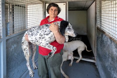 Sabina Angius con uno dei cani del video delle Iene (foto S.Novellu)