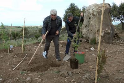 Scano, un momento della piantumazione a Santa Barbara