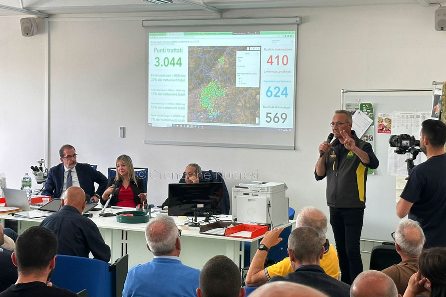 40 mila ettari del Centro Sardegna invasi dalle Cavallette: FAO soddisfatta e allevatori in protesta