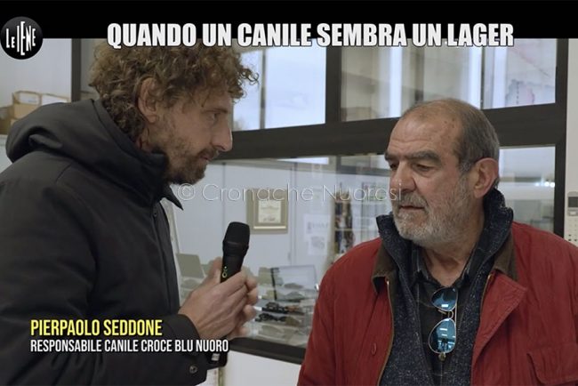 Un frame del servizio delle Iene sul canile Croce Blu di Nuoro