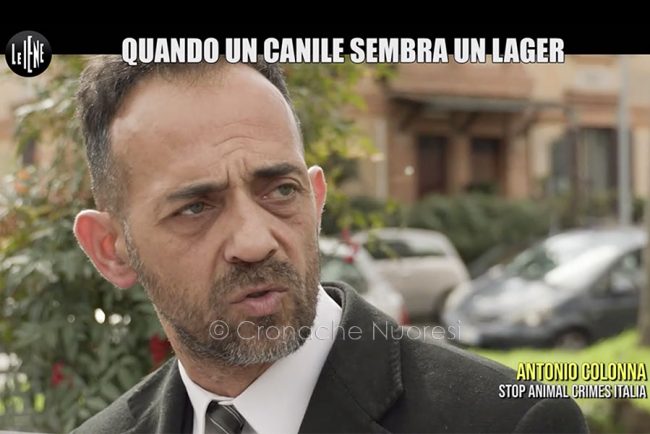 Antonio Colonna, nel servizio delle Iene sul canile Croce Blu di Nuoro