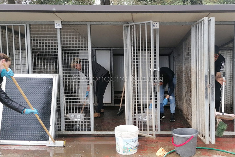 C’e chi polemizza e chi si rimbocca le maniche: numerosi i volontari al lavoro, anche oggi, al canile di Nuoro