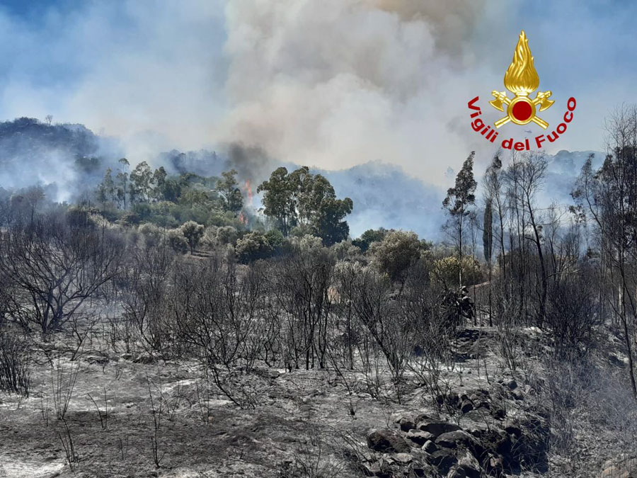 Ogliastra e Nuorese in fiamme: il rogo minaccia un campeggio, turisti evacuati