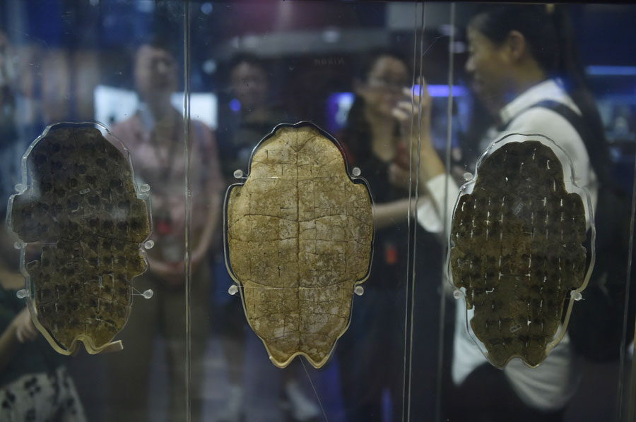 Cina: Henan, musei registrano forte affluenza visitatori in estate