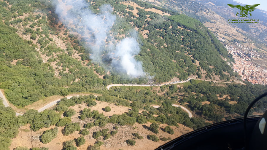 Paura a Bitti per un rogo spento grazie alla sinergia tra le squadre e i mezzi della Forestale