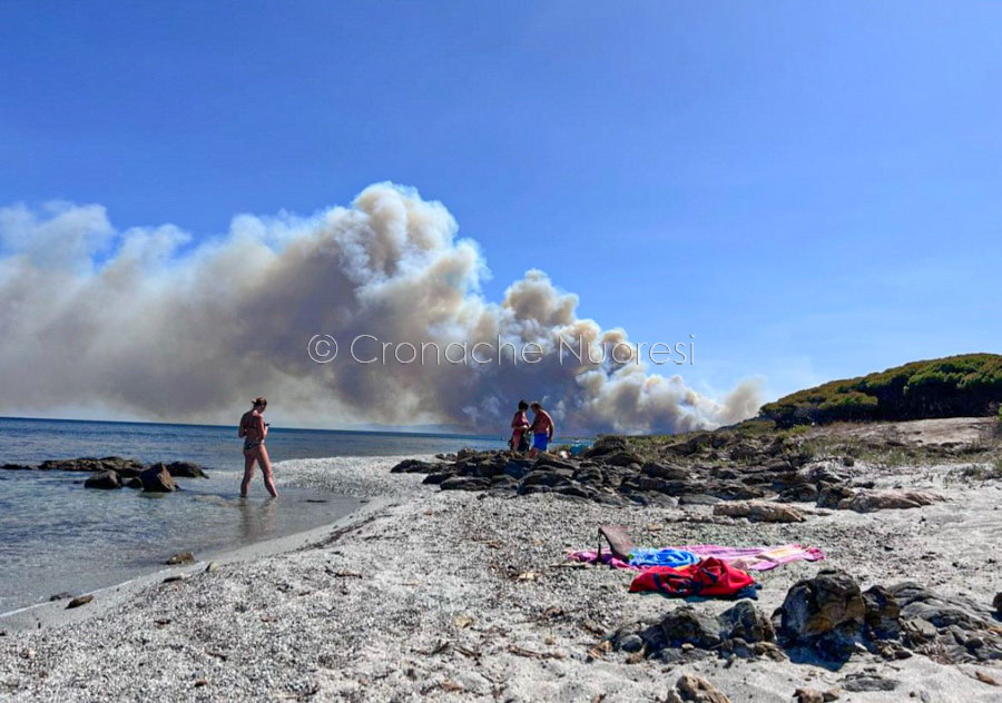 Sono dolosi i recenti roghi in Sardegna: trovati gli inneschi, è caccia agli incendiari