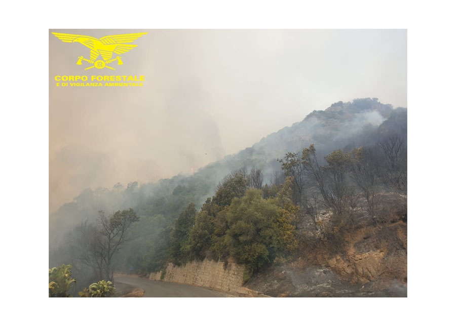 Vasto incendio tra Sorgono e Atzara intervengono il super puma, cinque canadair e quattro elicotteri