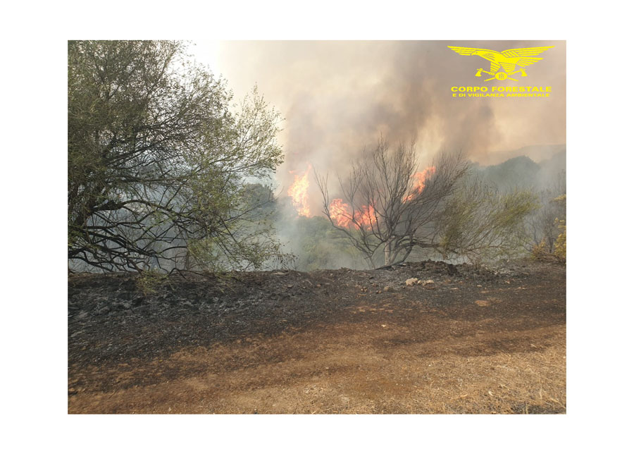 È doloso l’incendio che ha distrutto 150 ettari di sugherete a Sorgono