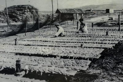 Lavorazione della bottarga - foto d'epoca (foto S.Novellu)