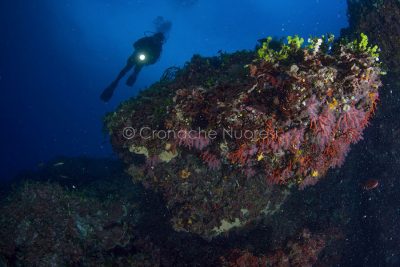 Immersione in grotta (foto V.Piras)