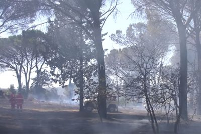 Un incendio nella pineta di Città Nuova