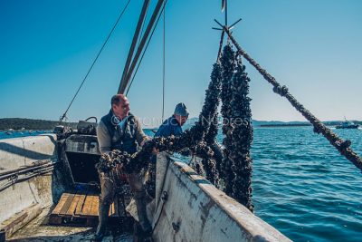 La pesca delle cozze a Olbia