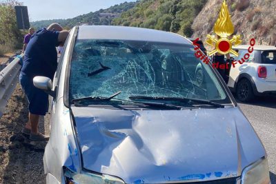 L'auto che ha travolto l'operaio sulla 131 DCN