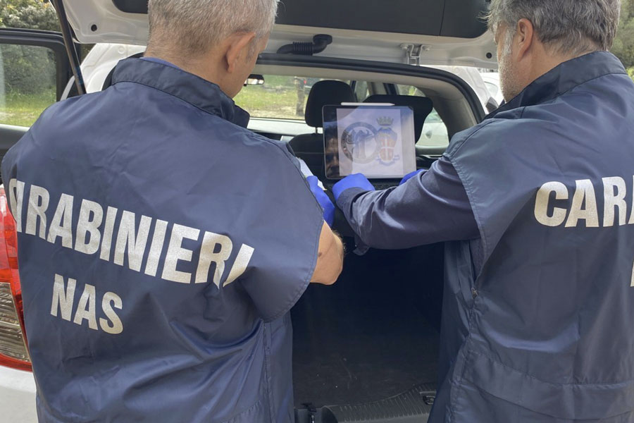 Sporcizia e Blatte: i NAS chiudono un panificio e sequestrano oltre 70 chili di alimenti