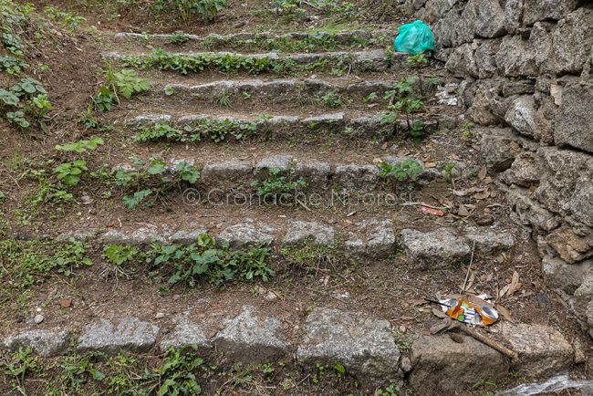 Una parte dei rifiuti abbandonati a Tanca Manna