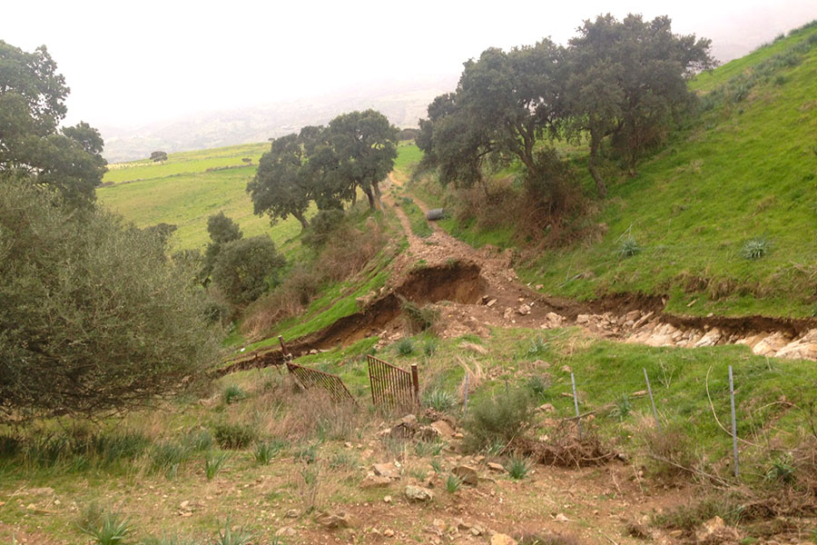 Bitti. Laore: “Al via un bando da oltre 13milioni per i danni alle colture dell’alluvione del 2020”