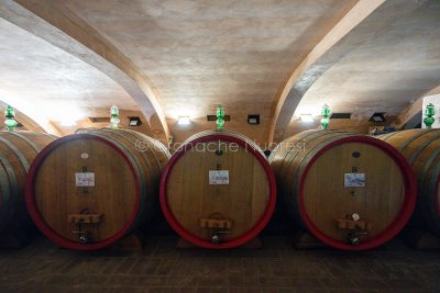 Cantina del Vermentino di Monti (foto S.Novellu)
