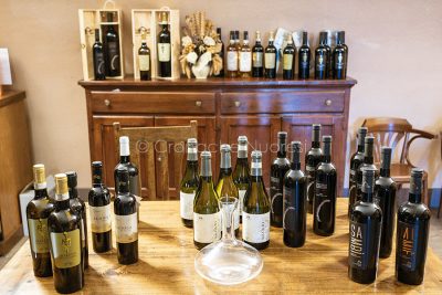 I vini delle Cantina del Vermentino di Monti (foto S.Novellu)