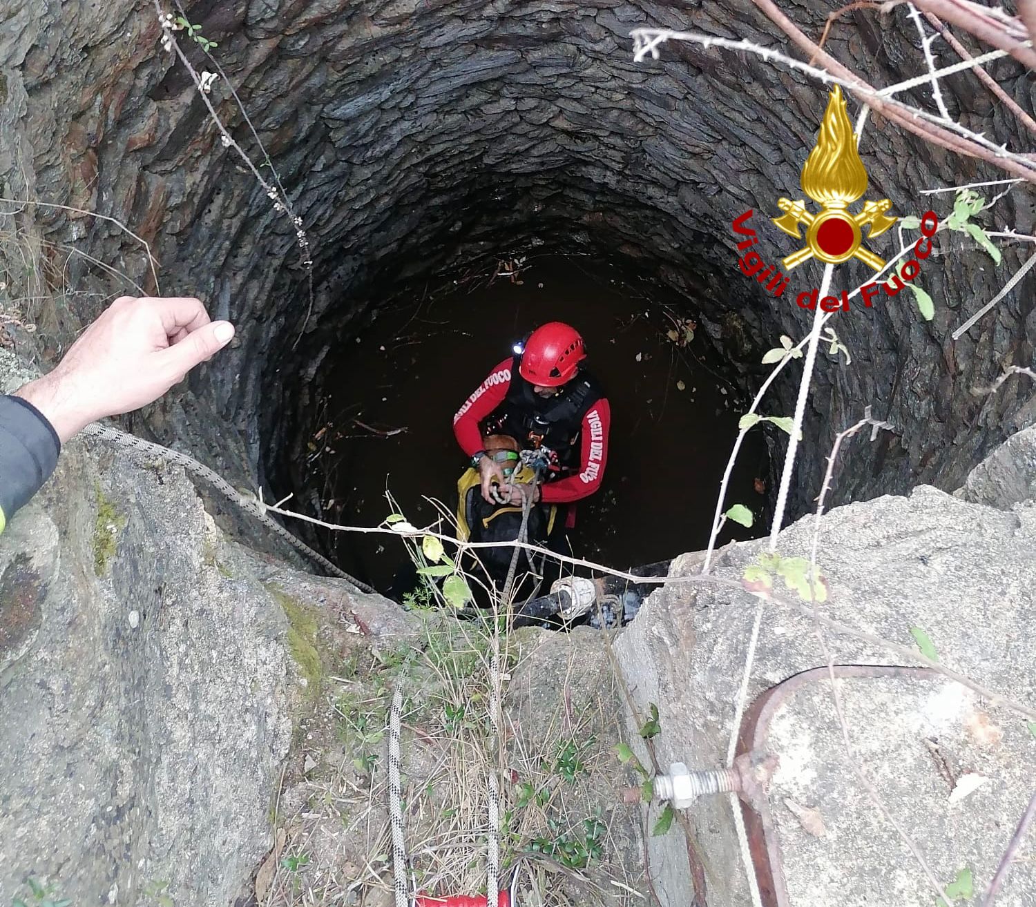 Siniscola. Cane cade dentro un pozzo durante una battuta di caccia: salvato dai VVF